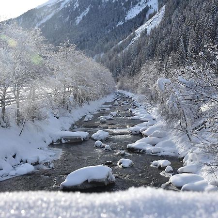 Haus Marco Apartment Neustift im Stubaital Ngoại thất bức ảnh