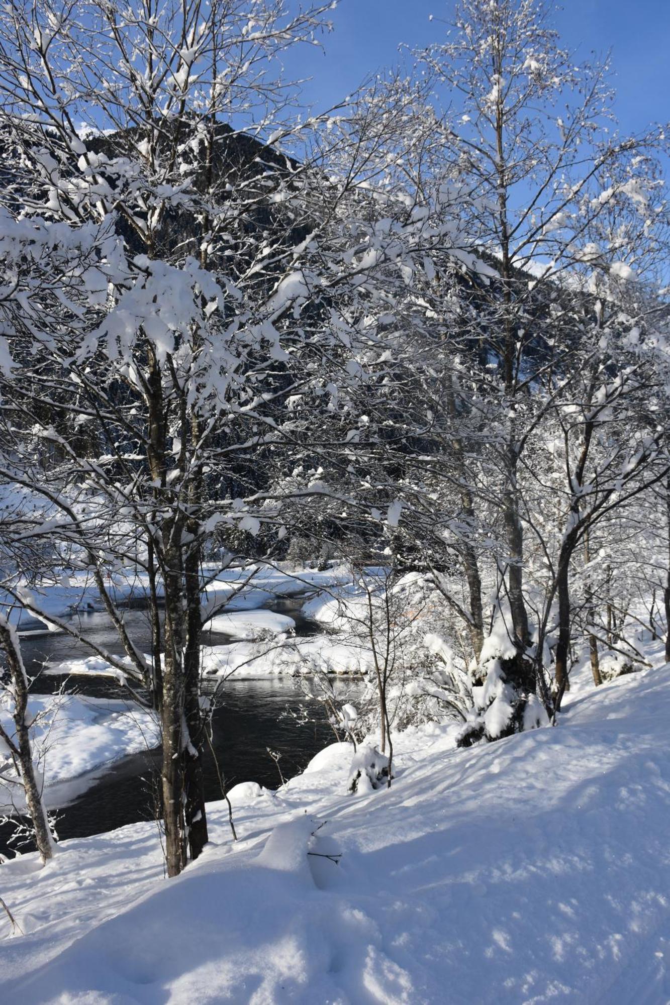 Haus Marco Apartment Neustift im Stubaital Ngoại thất bức ảnh