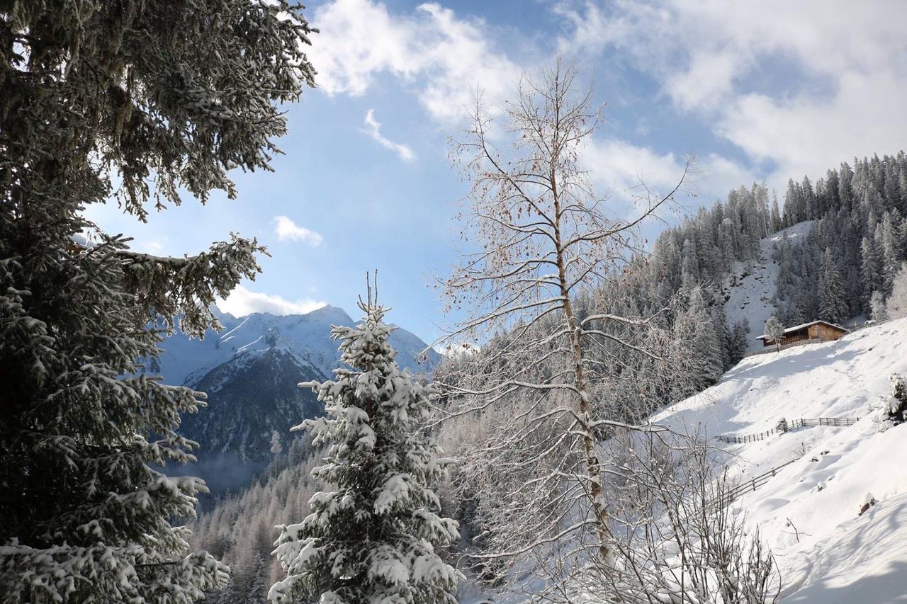 Haus Marco Apartment Neustift im Stubaital Ngoại thất bức ảnh